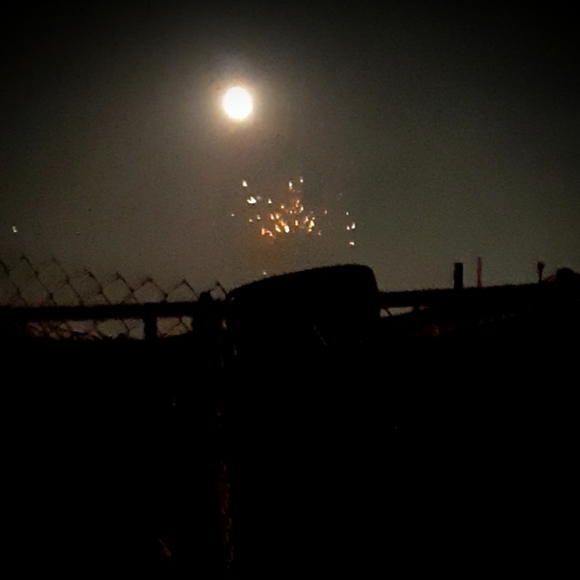 Meet your Posher, Isela - Picture 4 of 6